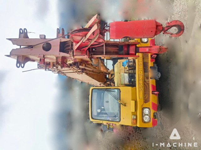 TADANO TL200M1