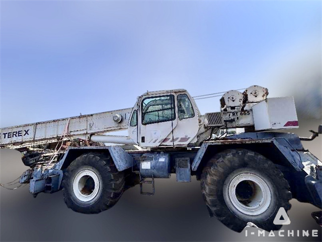 TEREX RT665